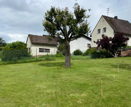 Grundstück mit Wiese und Baum